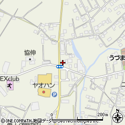ａｐｏｌｌｏｓｔａｔｉｏｎ栃木北ＳＳ周辺の地図