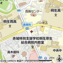 カチタス桐生店周辺の地図