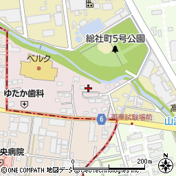 群馬県前橋市総社町高井521周辺の地図