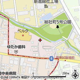 群馬県前橋市総社町高井524周辺の地図