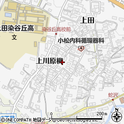 長野県上田市上田1499周辺の地図