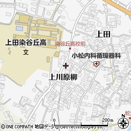 長野県上田市上田1719-7周辺の地図