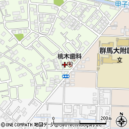 群馬県前橋市下細井町610-5周辺の地図