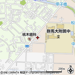 群馬県前橋市上沖町627周辺の地図