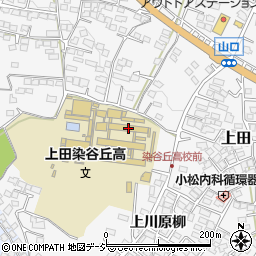 長野県上田市上田1710周辺の地図