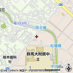 群馬県前橋市上沖町607周辺の地図