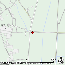 栃木県下都賀郡壬生町藤井900-2周辺の地図