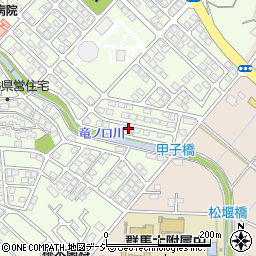 群馬県前橋市下細井町645-29周辺の地図