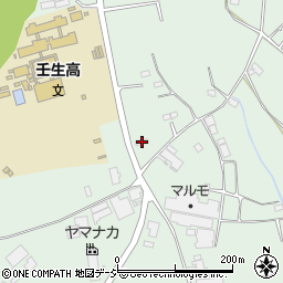 栃木県下都賀郡壬生町藤井1176-17周辺の地図