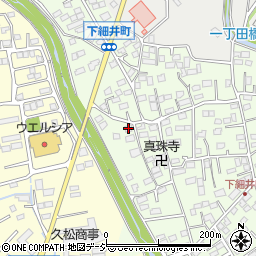 群馬県前橋市下細井町246-2周辺の地図