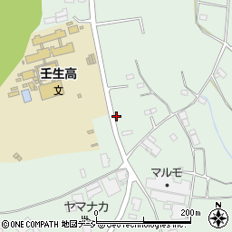 栃木県下都賀郡壬生町藤井1176-21周辺の地図