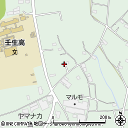 栃木県下都賀郡壬生町藤井1176周辺の地図