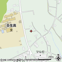 栃木県下都賀郡壬生町藤井1175-16周辺の地図
