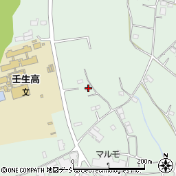 栃木県下都賀郡壬生町藤井1175-6周辺の地図