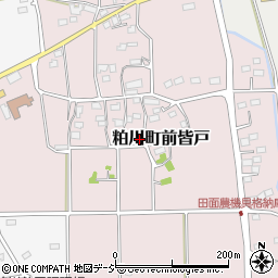 群馬県前橋市粕川町前皆戸161-5周辺の地図