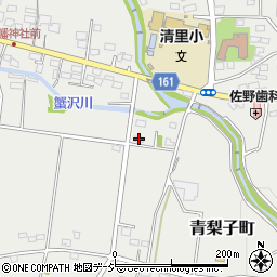 群馬県前橋市青梨子町693周辺の地図