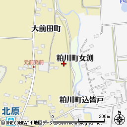 群馬県前橋市大前田町1929-8周辺の地図