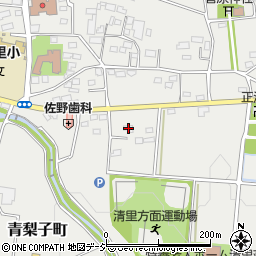 群馬県前橋市青梨子町289周辺の地図