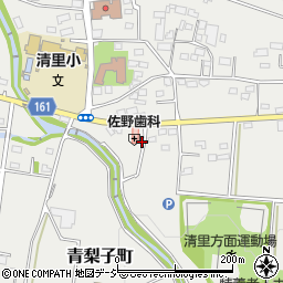 群馬県前橋市青梨子町563周辺の地図