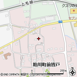 群馬県前橋市粕川町前皆戸44周辺の地図