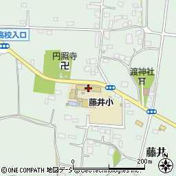 壬生町立藤井小学校周辺の地図