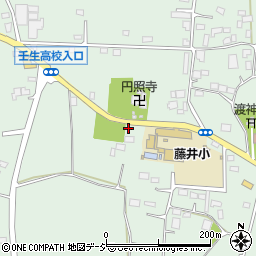 栃木県下都賀郡壬生町藤井1279-2周辺の地図