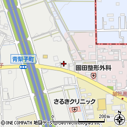 群馬県前橋市青梨子町128周辺の地図