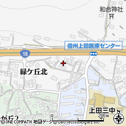 長野県上田市上田3166周辺の地図