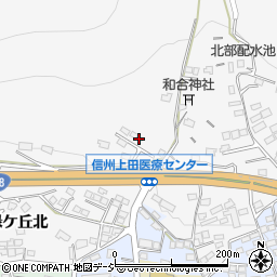 長野県上田市上田3161周辺の地図