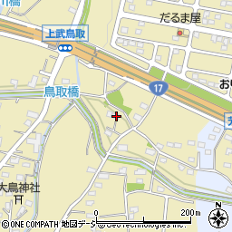 群馬県前橋市鳥取町705周辺の地図
