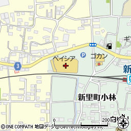 １００円ショップセリア　ベイシア新里店周辺の地図