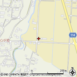 群馬県前橋市大前田町1547-7周辺の地図