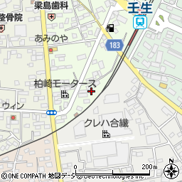 栃木県下都賀郡壬生町中央町19-10周辺の地図