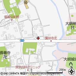 群馬県前橋市堀越町1258周辺の地図