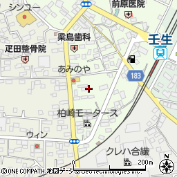 栃木県下都賀郡壬生町中央町17-26周辺の地図