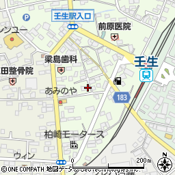 栃木県下都賀郡壬生町中央町16-17周辺の地図