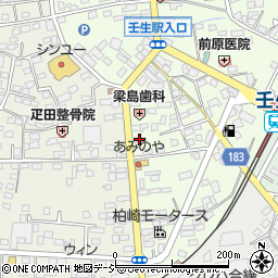 栃木県下都賀郡壬生町中央町16-25周辺の地図