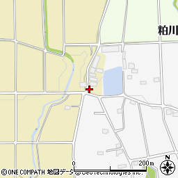 群馬県前橋市大前田町1098-2周辺の地図