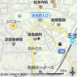 栃木県下都賀郡壬生町中央町16-28周辺の地図