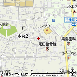 栃木県下都賀郡壬生町本丸2丁目12周辺の地図