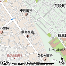 〒371-0046 群馬県前橋市川原町の地図