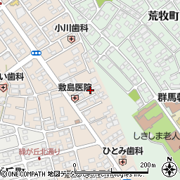 群馬県前橋市川原町周辺の地図