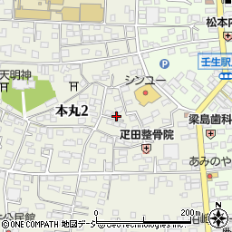 栃木県下都賀郡壬生町本丸2丁目12-20周辺の地図