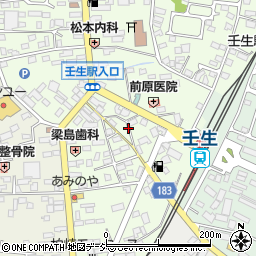 栃木県下都賀郡壬生町中央町12周辺の地図