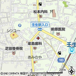 栃木県下都賀郡壬生町中央町16-3周辺の地図
