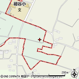 栃木県下都賀郡壬生町藤井2599周辺の地図