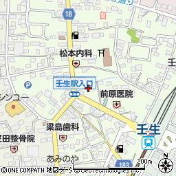 栃木県下都賀郡壬生町中央町5-22周辺の地図