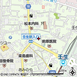 栃木県下都賀郡壬生町中央町5-15周辺の地図