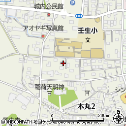 栃木県下都賀郡壬生町本丸2丁目7-6周辺の地図