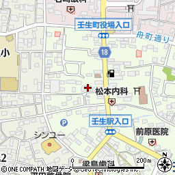 栃木県下都賀郡壬生町中央町7-21周辺の地図
